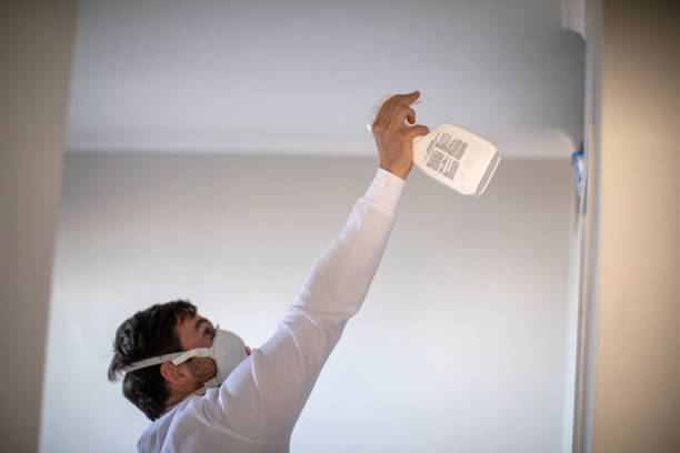 Best Professional Mold Removal  in Gadsden, AL