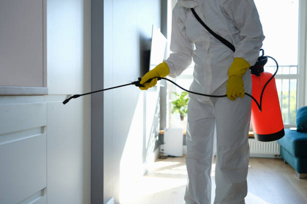 Best Residential Mold Removal  in Gadsden, AL
