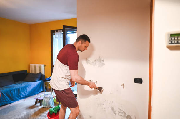 Best Certified Mold Removal  in Gadsden, AL
