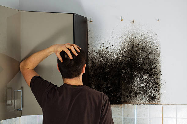 Best Crawl Space Mold Removal  in Gadsden, AL