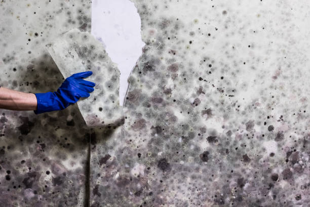 Water Damage Restoration in Gadsden, AL